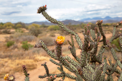 Landscape Photos : Richard Moore : Photographer